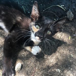 Meet your Posher, Veronica